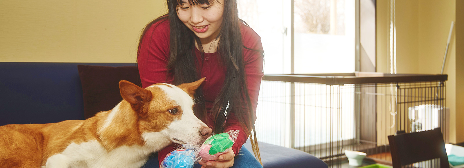 ワンちゃんルーム